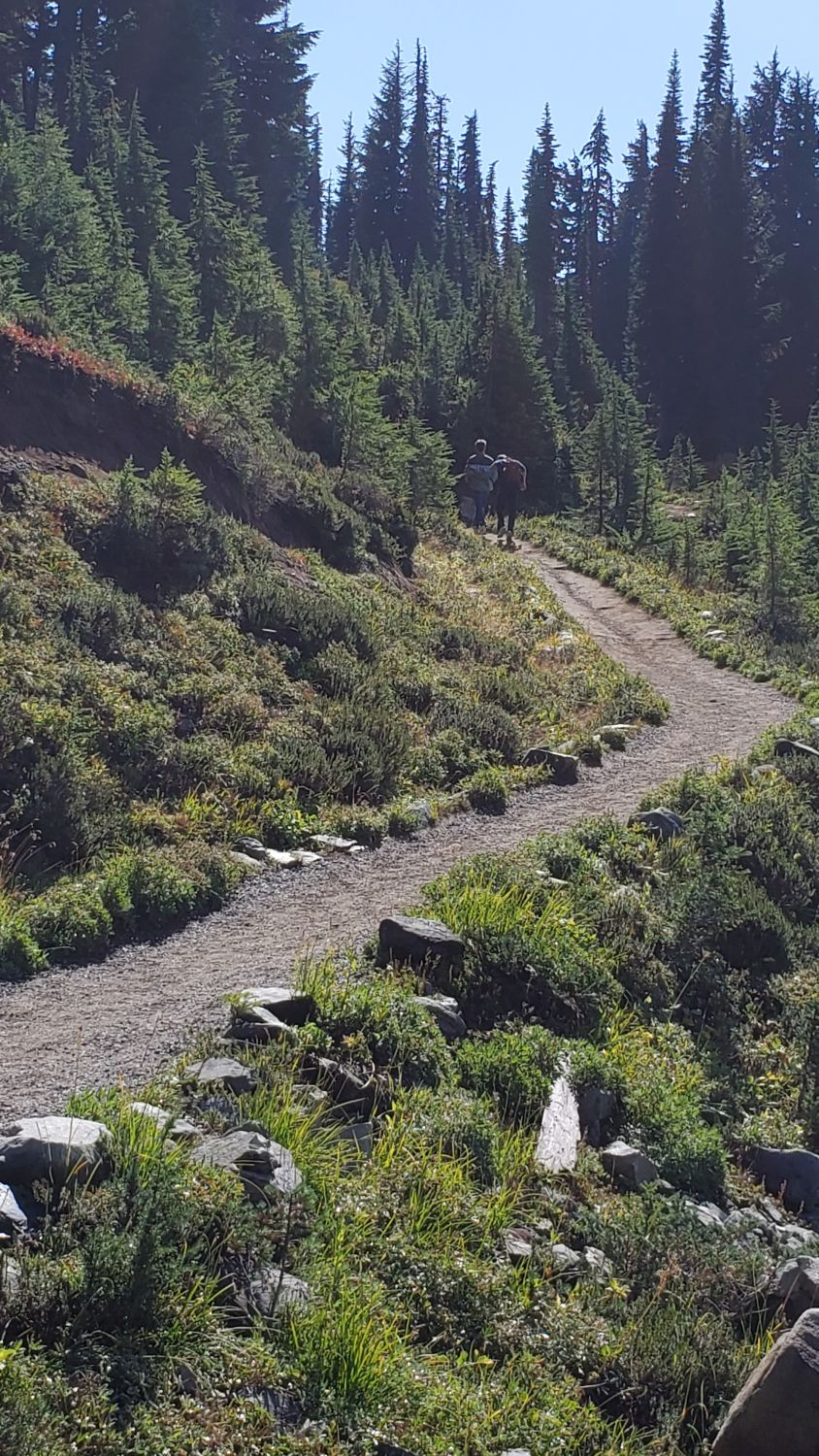 Mount Rainier NP 